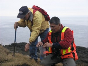 Roger Lewis, Assistant Curator at the Nova Scotia Museum of Natural History, and Eldon George of Parrsboro gathering lithic (stone) materials from traditional gathering sites. Here, they are examining materials at Cape d’Or.