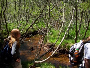 Sharon Farrell (Miawpukek First Nation), Mi’kmaw archaeologist, enjoys one of the streams along the Mi’kmawey Debert Interpretive Trail.