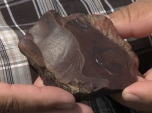 Gerald Gloade holds a piece of chocolate chert in his hands—a toolstone found at Cape d’Or. 