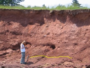 Sharon Farrell, MDCC Curatorial Assistant, takes notes in front of a large glacial till deposit during one of several geological projects the MDCC has undertaken with geologist Dr. Ralph Stea and soil scientist Dr. Gordon Brewster. The yellow line marks the boundary between till and bedrock.
